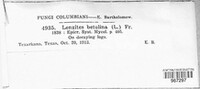 Image Associated With the Occurence